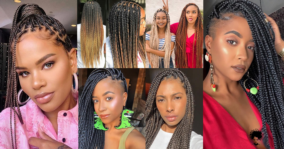 What is The Secret of Long Shining Braids?