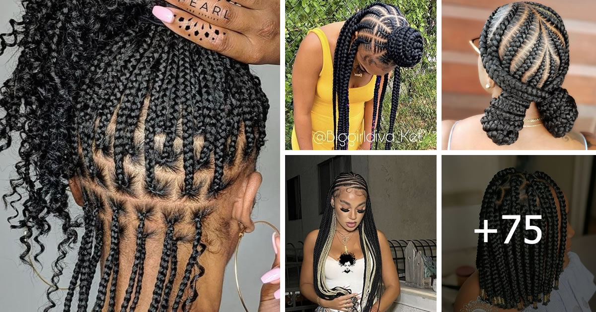 75+ Stylish and Protective Braided Hairstyles for All Hair Types