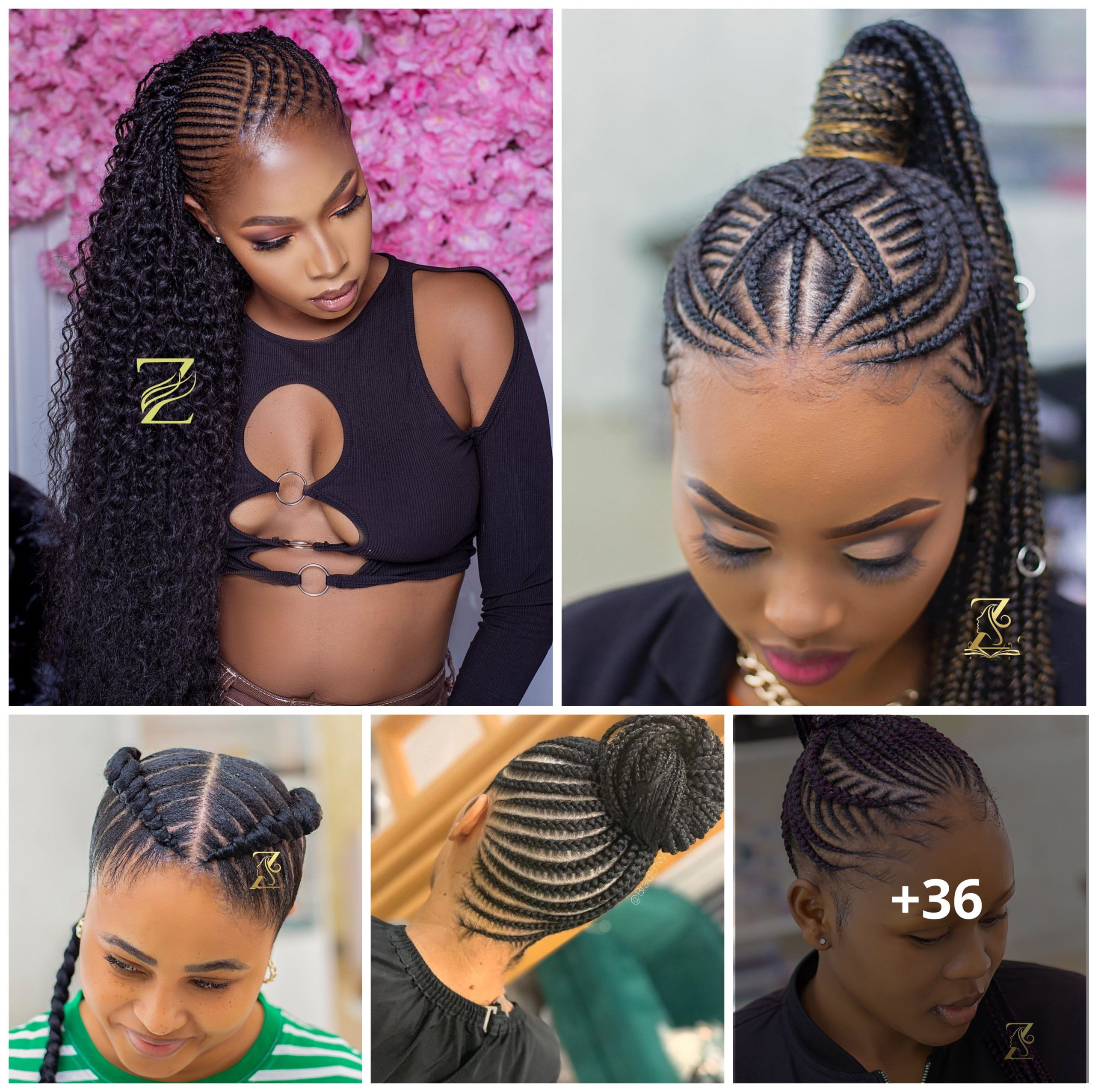 36 Ultra Chic Braided Hairstyle Ideas